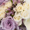Velvet Purple Fresh Rose Bouquet Bar Close Up - Image