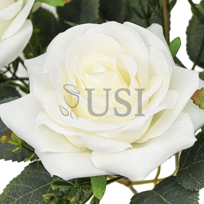 Queen Tea Rose Flower Bush w Filler x7, 17in, Cream White