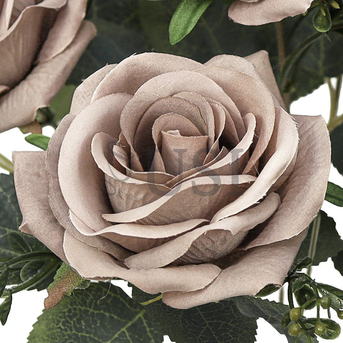 Queen Tea Rose Flower Bush w Filler x7, 17in, Dusty Brown