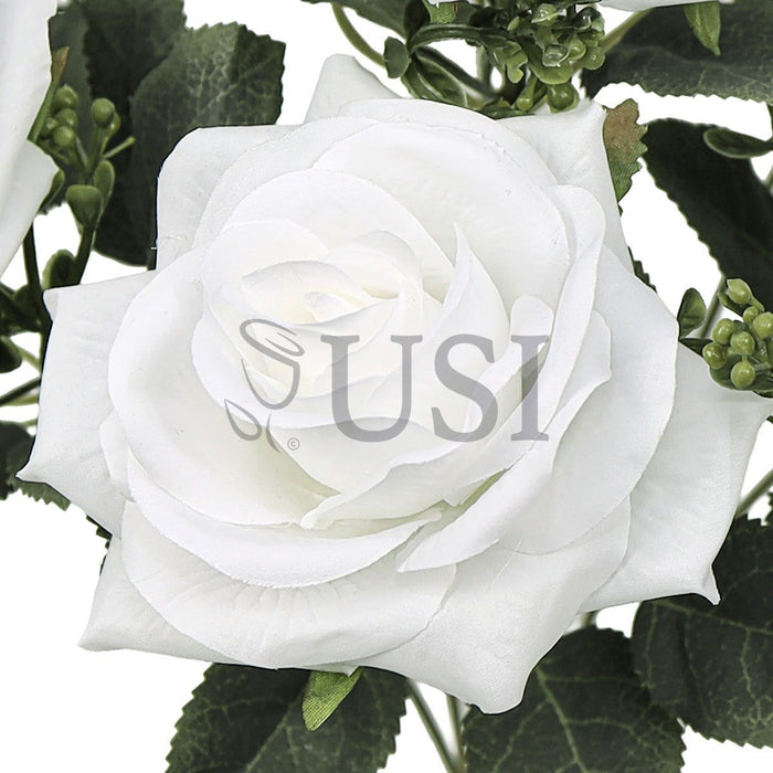 Queen Tea Rose Flower Bush w Filler x7, 17in, White