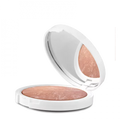 RAYsistant Bronzing Powder