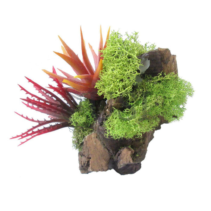 Reindeer Moss, 0.5lb bag, Green