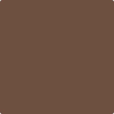 Shop the paint color CSP-300 Riding Boots by Benjamin Moore at Anderson Paint in Ann Arbor, MI.