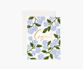 Rifle Paper Congrats Card -Hydrangea