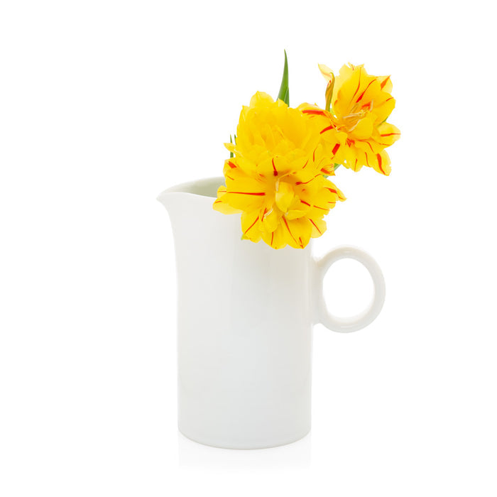 Creamy white ceramic pitcher with a simple ring handle, holding yellow and red striped tulips.