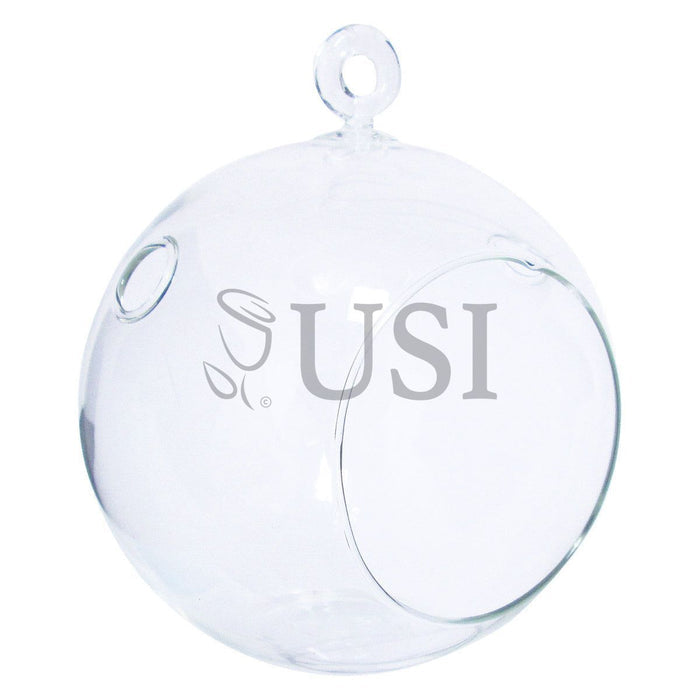 Round Hanging Terrarium, 9in, Clear