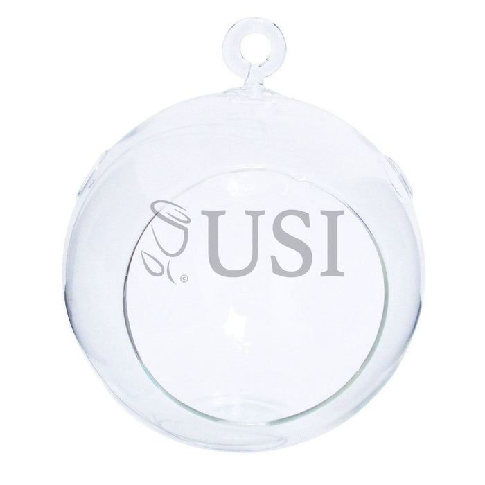 Round Hanging Terrarium, 9in, Clear