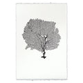 Black round sea fan art print on white handmade Nepalese paper with deckled edges.