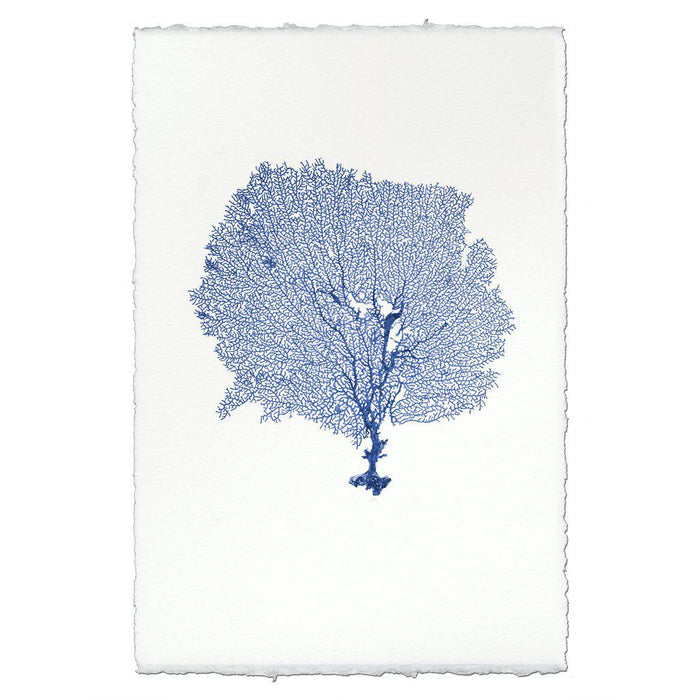 Blue round sea fan art print on handmade Nepalese paper with deckled edges.