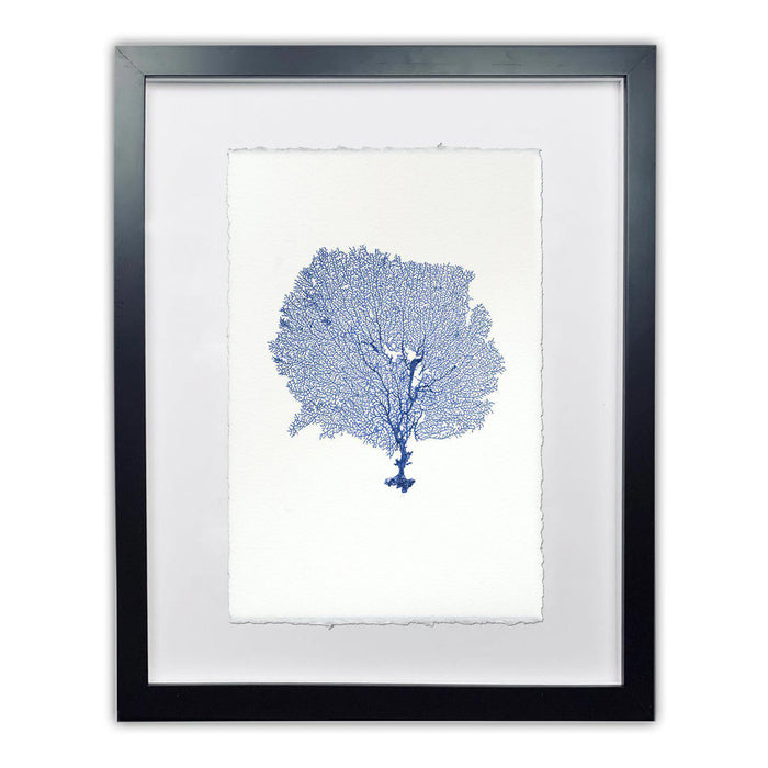 Framed blue round sea fan art print on handmade Nepalese paper with a black frame.