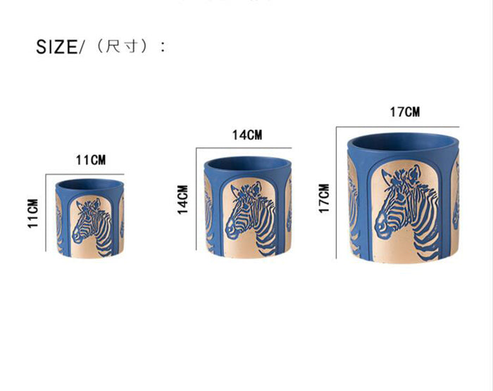 a set