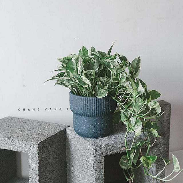 "RP127" Silicone planter mold