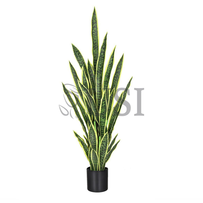 Sansevieria Snake Plant in Black Pot, 48in, Green Yellow