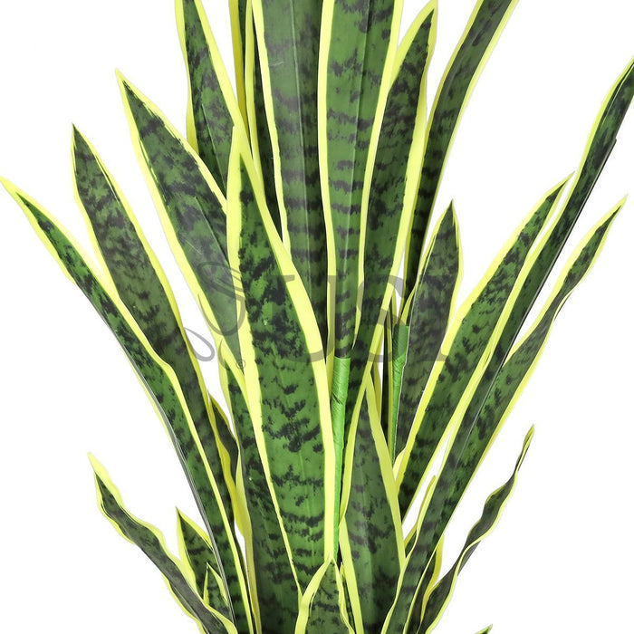 Sansevieria Snake Plant in Black Pot, 48in, Green Yellow