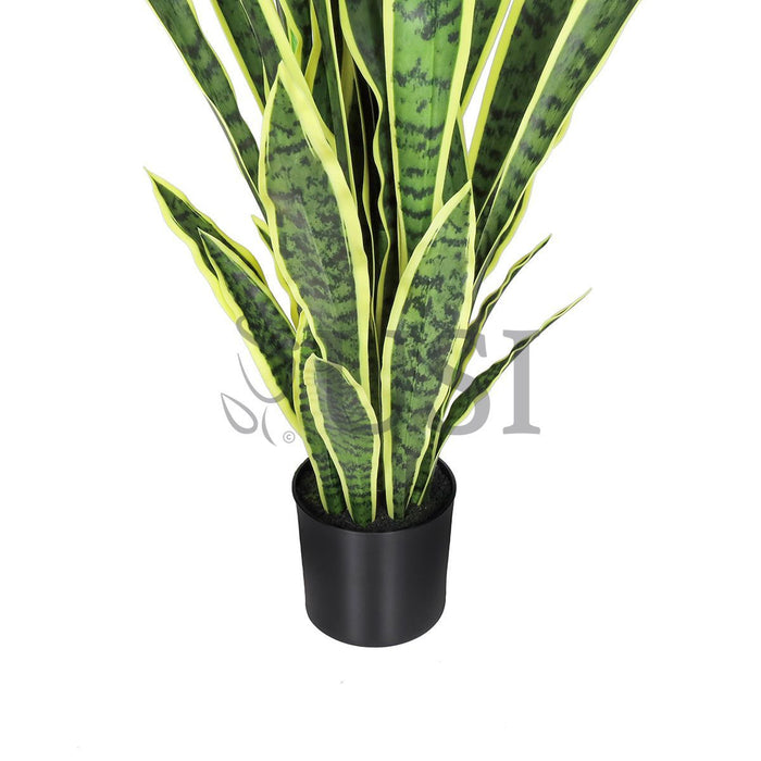Sansevieria Snake Plant in Black Pot, 48in, Green Yellow