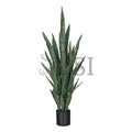 Sansevieria Snake Plant in Black Pot, 48in, Green