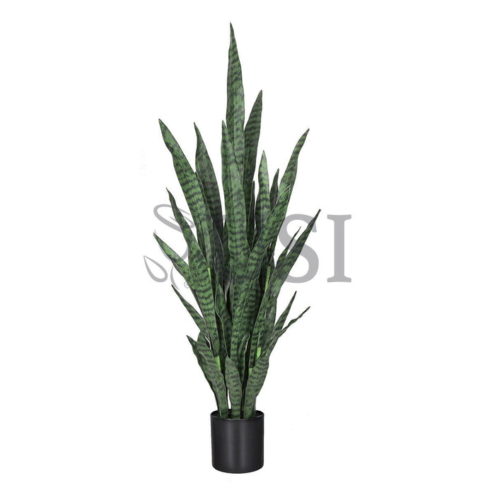 Sansevieria Snake Plant in Black Pot, 48in, Green