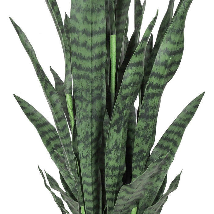 Sansevieria Snake Plant in Black Pot, 48in, Green