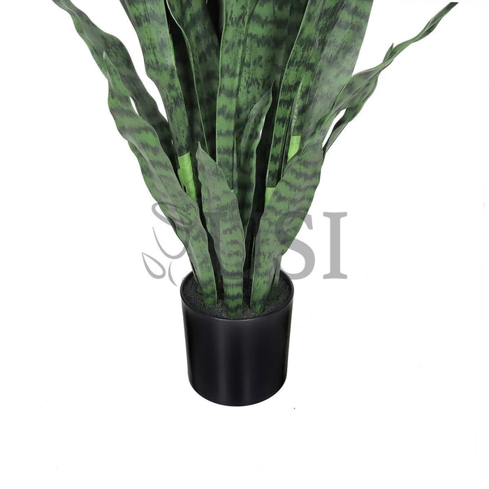 Sansevieria Snake Plant in Black Pot, 48in, Green