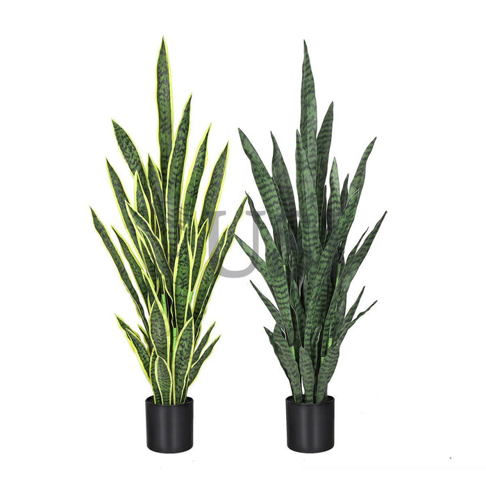 Sansevieria Snake Plant in Black Pot, 48in, Green