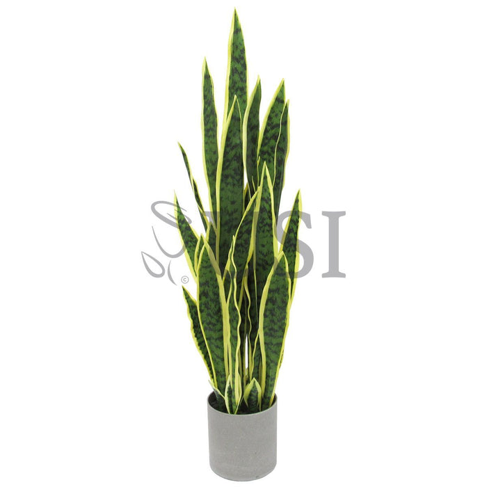 Sansevieria Snake Plant in Grey Pot, 36in, Green Yellow