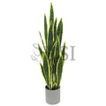 Sansevieria Snake Plant in Grey Pot, 36in, Green Yellow