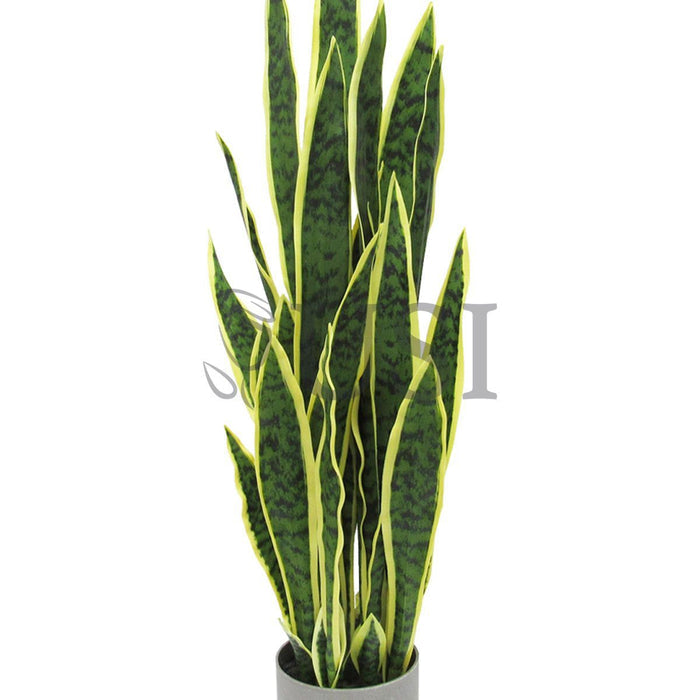 Sansevieria Snake Plant in Grey Pot, 36in, Green Yellow