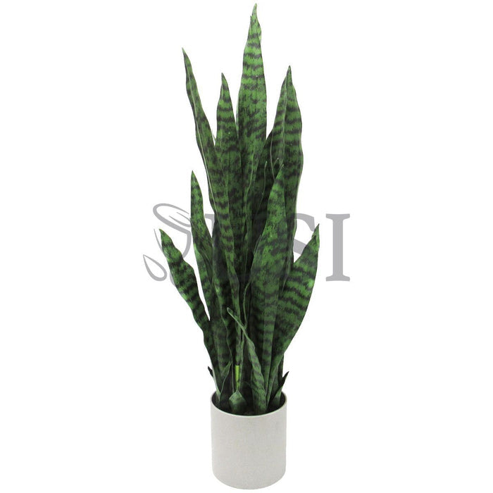 Sansevieria Snake Plant in Grey Pot, 36in, Green