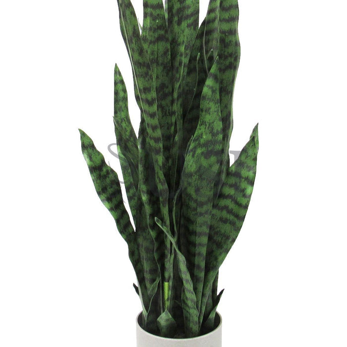 Sansevieria Snake Plant in Grey Pot, 36in, Green