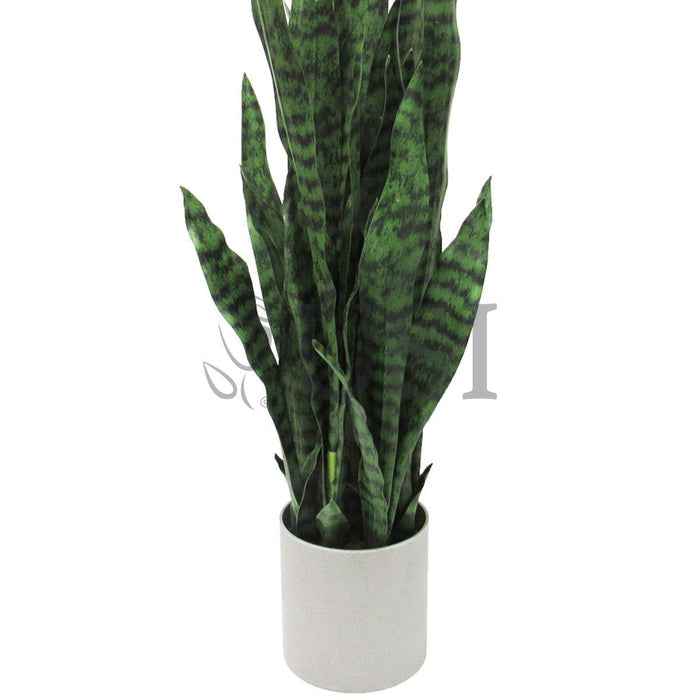 Sansevieria Snake Plant in Grey Pot, 36in, Green