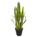 Sansevieria Snake Plant Potted, 32in, Green Yellow