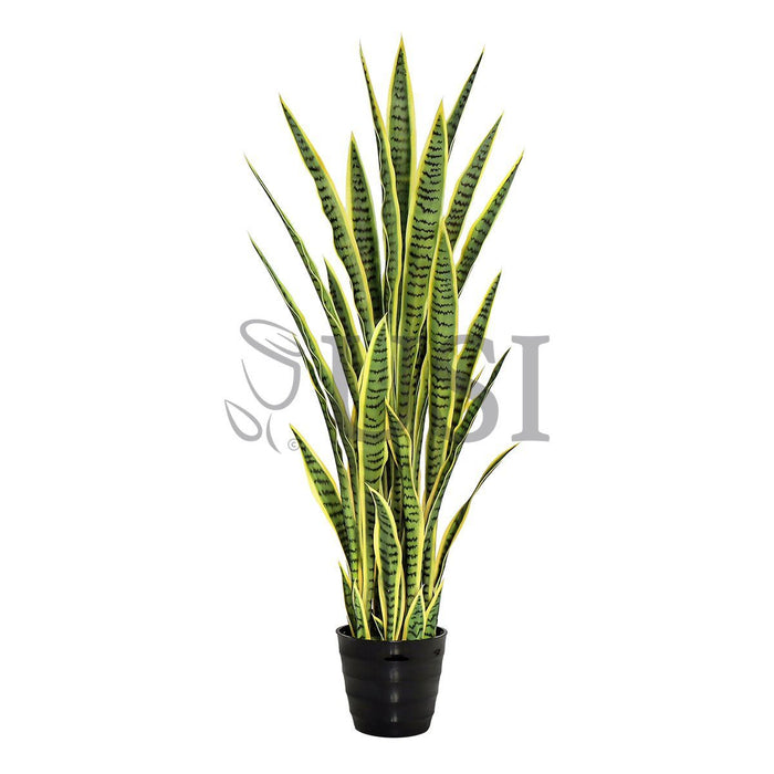 Sansevieria Snake Plant Potted, 4ft, Green Yellow