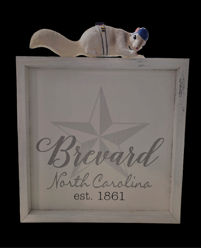 Signs - Farmhouse Sign with "Brevard, NC.....Established 1861"