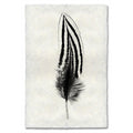 Black and white Silver Pheasant feather print on textured handmade Nepalese paper wall art.