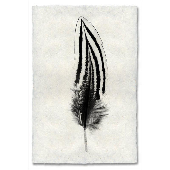 Black and white Silver Pheasant feather print on textured handmade Nepalese paper wall art.