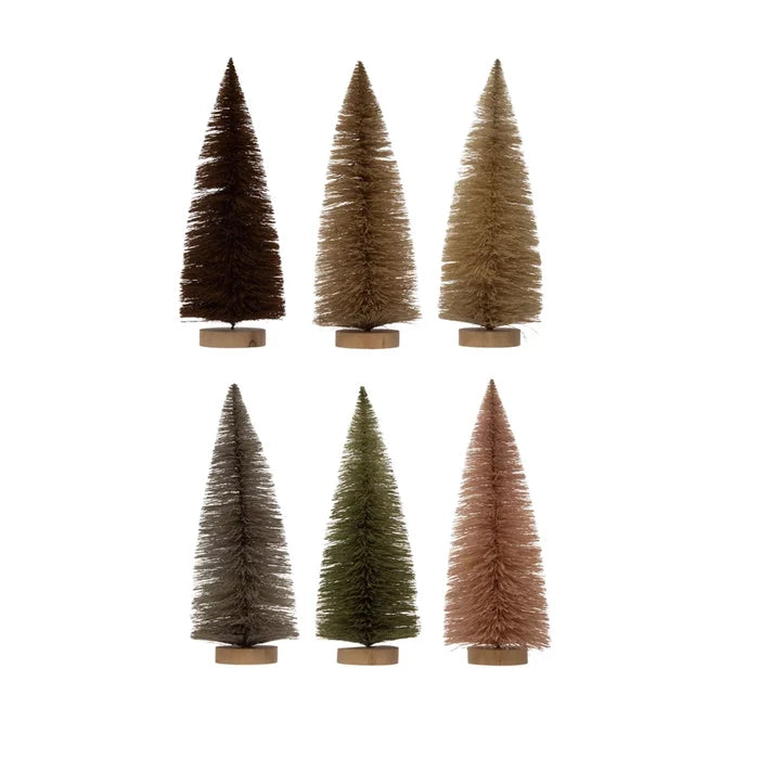 Sisal Bottlebrush Tree