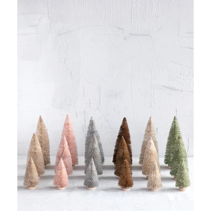 Sisal Bottlebrush Tree