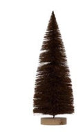 Sisal Bottlebrush Tree