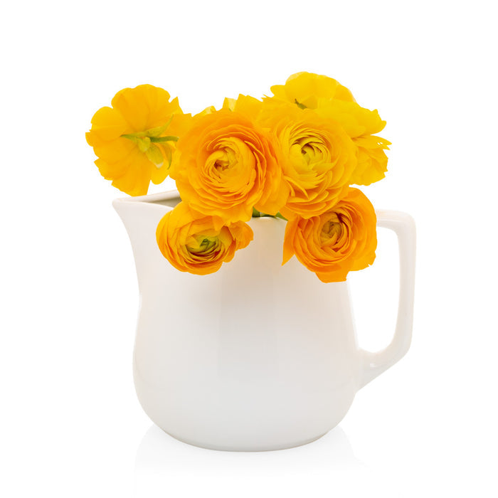 White ceramic milk pitcher with a handle, holding vibrant yellow ranunculus flowers.