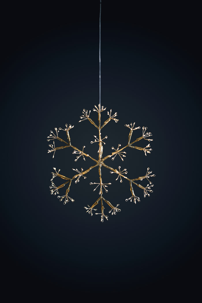 Snowflake Champagne Hanging Light