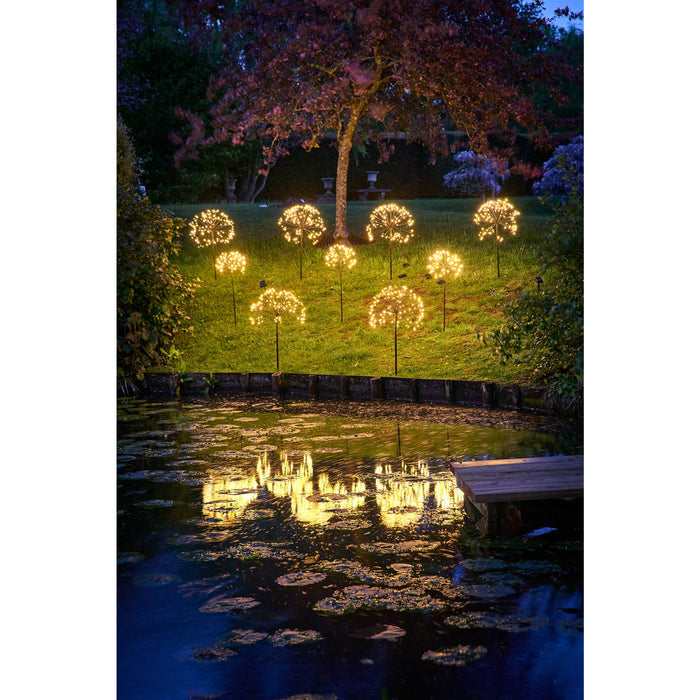 Solar Dandelion Light | Dandelion Garden Lights | Lumina Of London