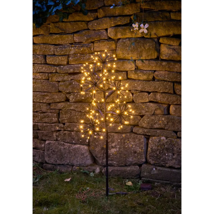 Solar Starburst Branch