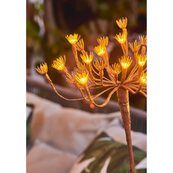 Solar Wild Fennel