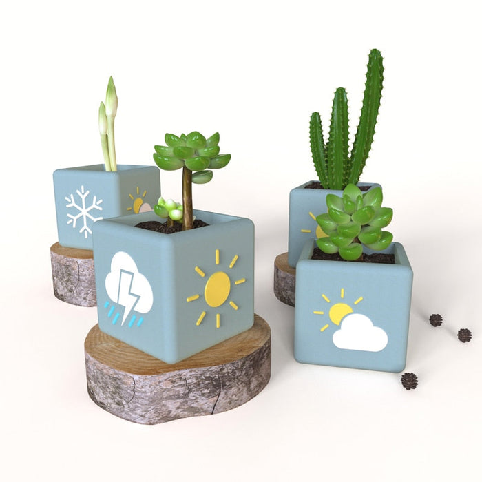 "SP111" Planter silicone mold
