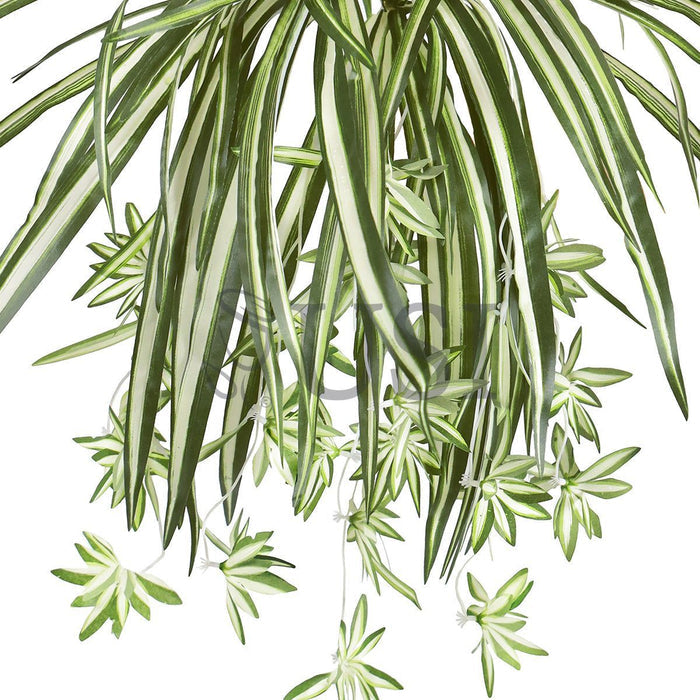 Spider Plant Greenery Bush w 24 Flo x5, 26in, Green