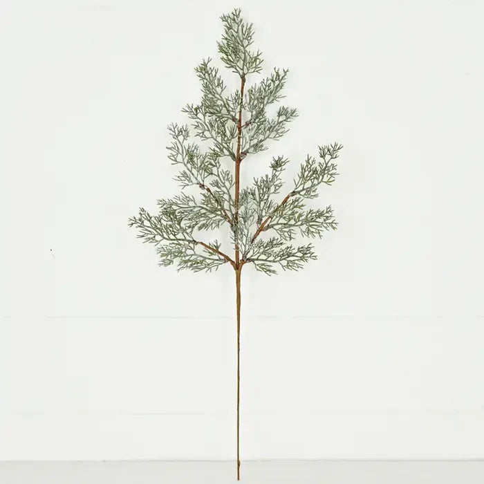 Spray-Country Cedar Pines