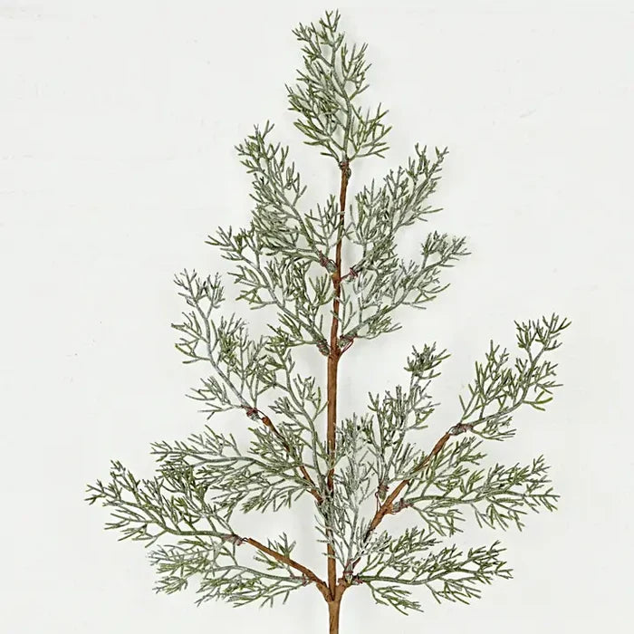Spray-Country Cedar Pines