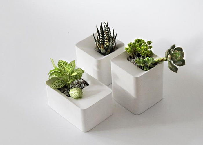 Square pot silicone mold - madmolds - silicone mold