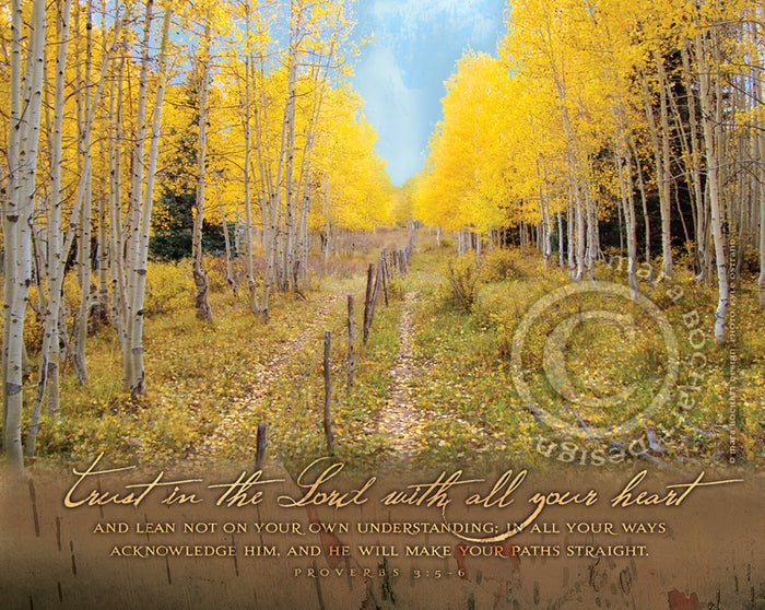 Straight Paths - premium canvas