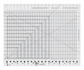 STRIPOLOGY XL RULER